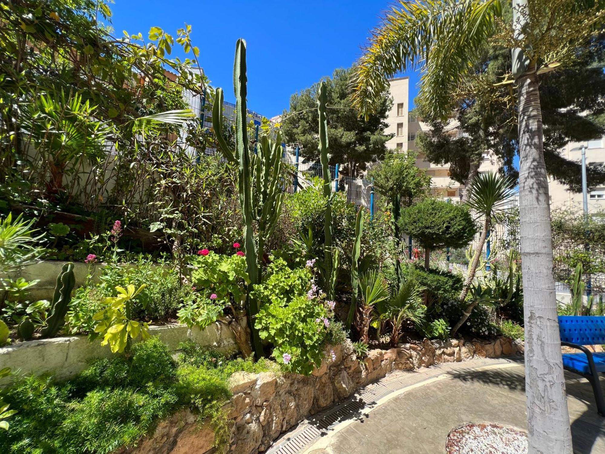 Vistahermosa 22 Μπένιντορμ Εξωτερικό φωτογραφία